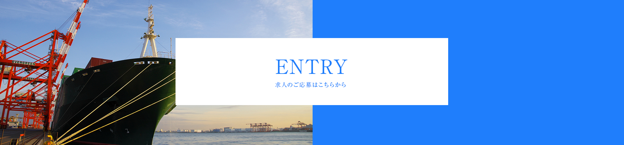 _lp01_bnr_entry